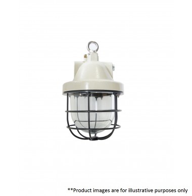 CEAG AB 51 IU 200W EX-PENDANT LIGHT