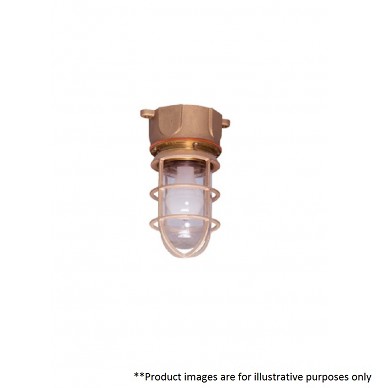 PAULUHN 717B PROGUARD PENDANT LIGHT