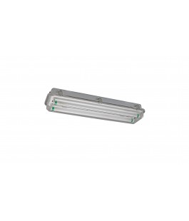 EFA 10442 WATERTIGHT FLUORESCENT LIGHT