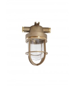 1131/D/GK/1974 STANDARD INCANDESCENT LIGHT