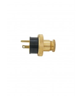 PAULUHN 2606BU-125 MARINE BRASS PLUG